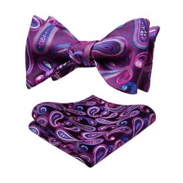 Vintage Blue And Purple Paisley Bow Tie Set