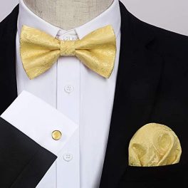 Yellow Paisley Pre-Tied Bow Tie Handkerchief With Cufflinks