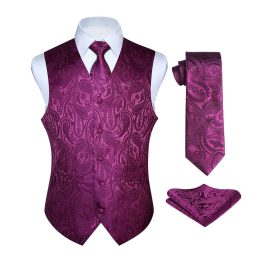 Men's Purple Paisley Vest Tie Set For Weddings