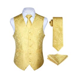Men's Yellow Paisley Vest Tie Set For Weddings Anniversary